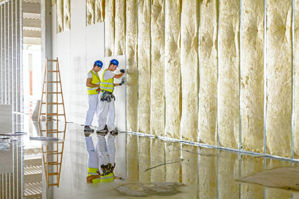 Best Commercial Insulation Services  in Great Falls, MT